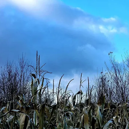 Luxury Retreat In Thorsager - By Traum بيت للعطل Rønde