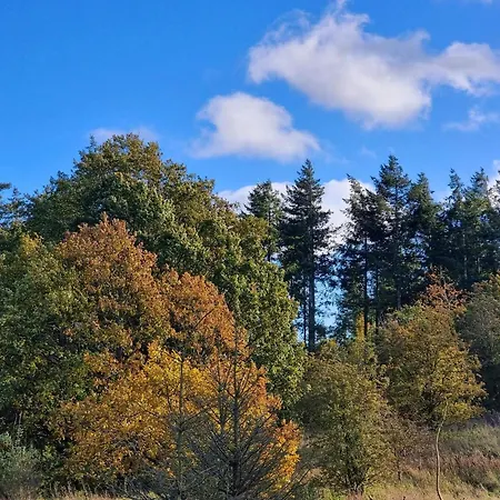 펜션 Luxury Retreat In Thorsager Rønde
