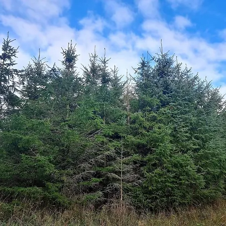 بيت للعطل Luxury Retreat In Thorsager - By Traum