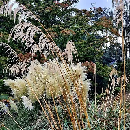 Luxury Retreat In Thorsager - By Traum بيت للعطل